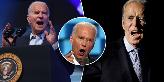 Präsident Biden