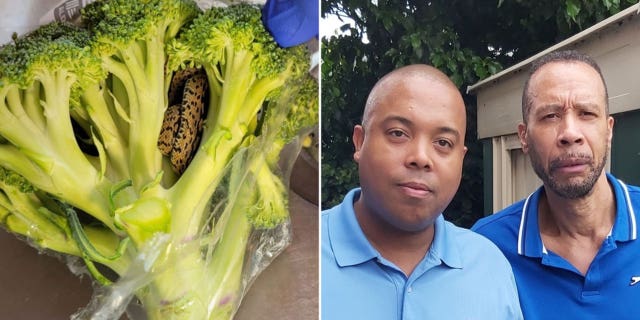 Linton father and son, plus the snake in the broccoli