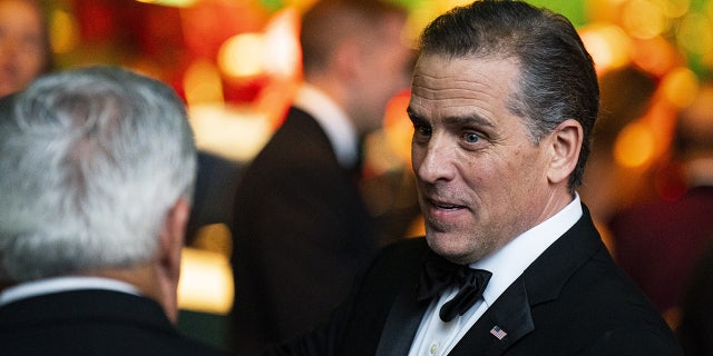 Hunter Biden seen during Modi state dinner at the White House