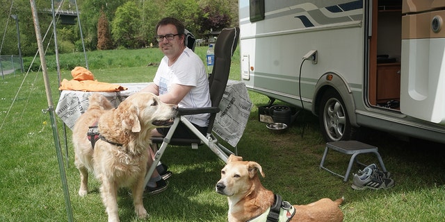 A man camping with two dogs