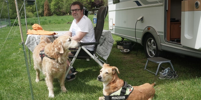 A man camping with two dogs