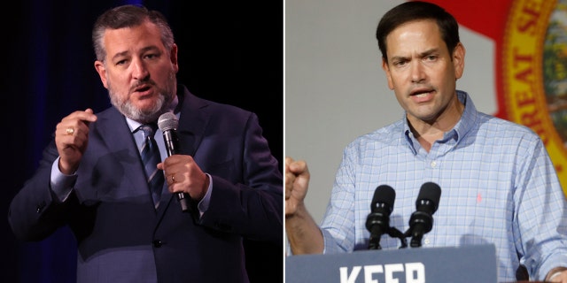 Cruz, Rubio