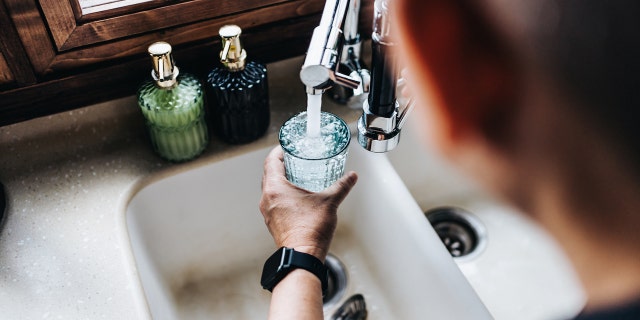Drinking water filter