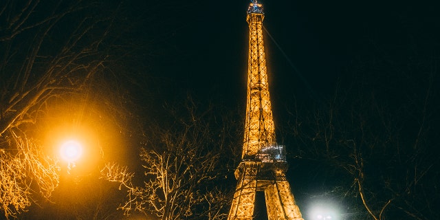 The Eiffel Tower at night