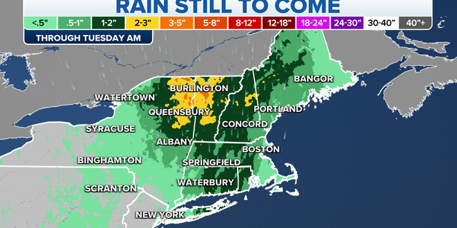 Rainfall forecast for northeast US