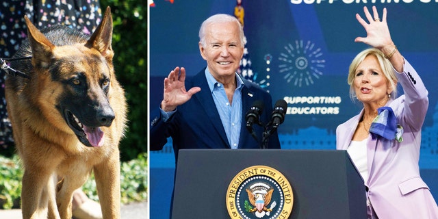 Famed dog trainer Cesar Millan insists he can stop Biden's dog ...