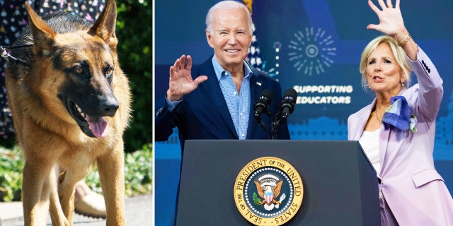 Famed dog trainer Cesar Millan insists he can stop Biden's dog ...