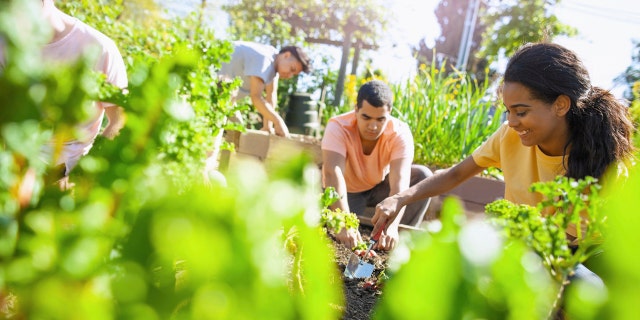 Friends gardening