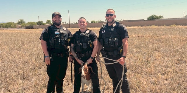 Three officers standing with wrangled goat