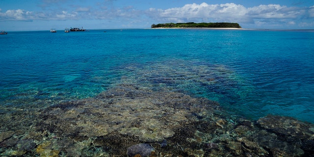 Snorkeling the Great Barrier Reef
