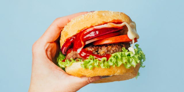 solo shot of hamburger