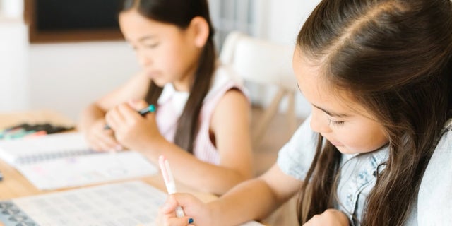 Two kids homeschooling
