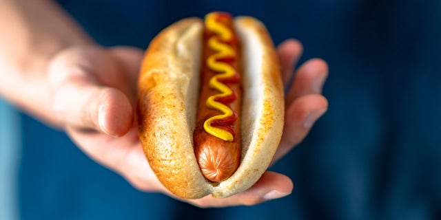 a single hot dog