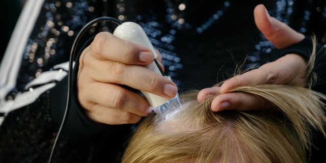Specialist examines scalp.