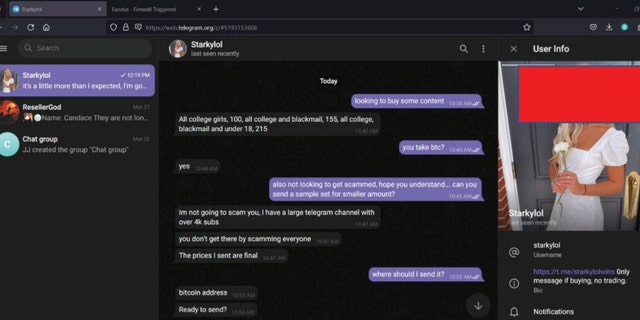 An FBI agent's conversation with Starkylol on Telegram