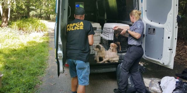 Authorites carrying crates of dogs