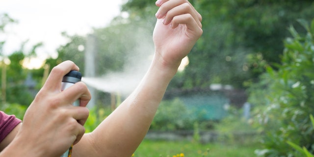 Person applies bug spray outside.