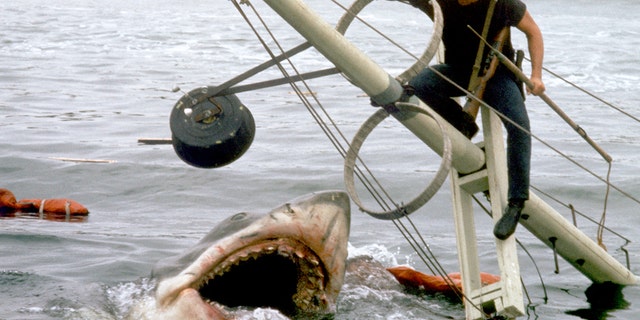 A photo from the set of "Jaws"