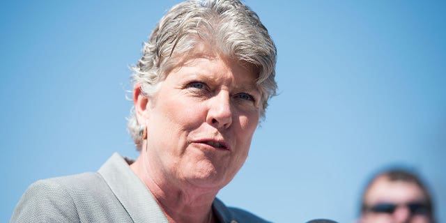 Julie Brownley, D-Calif., at microphone