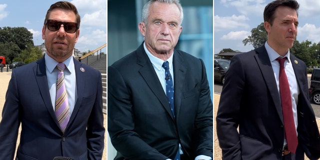House Democrats and RFK Jr.