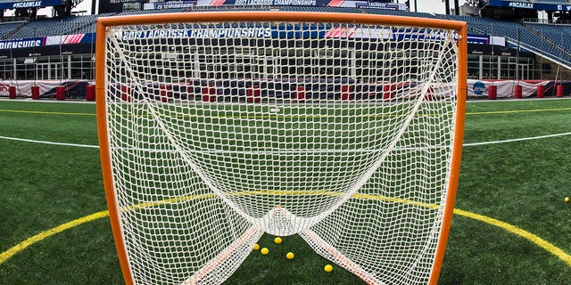 Lacrosse net