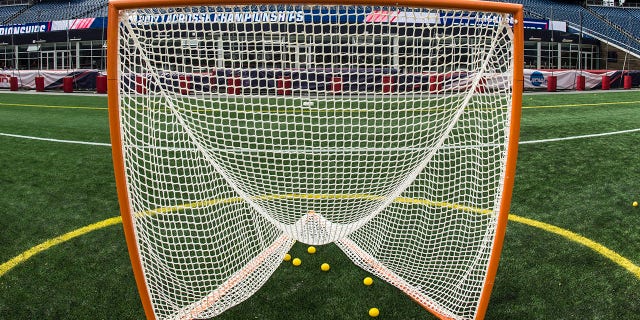 Lacrosse net