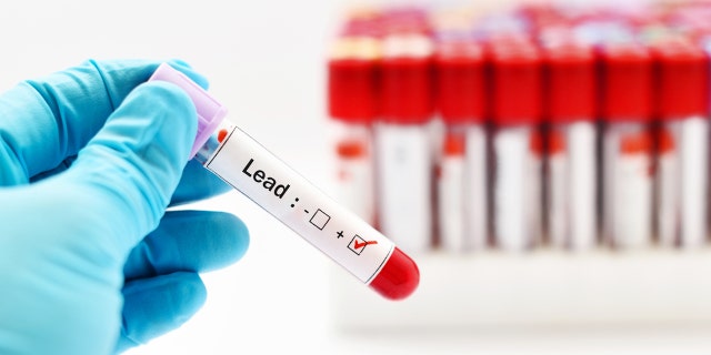 Lead blood test