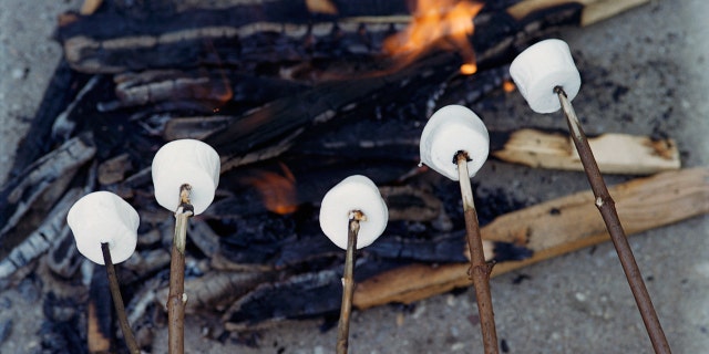 Marshmallowlar kamp ateşinde pişiyor