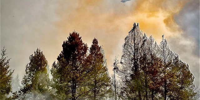helicopter flying over trees, smoke