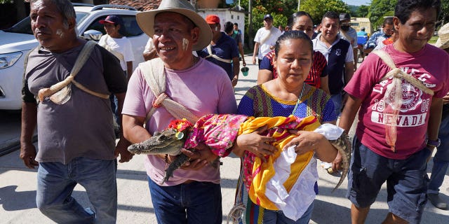 People carry crocodile
