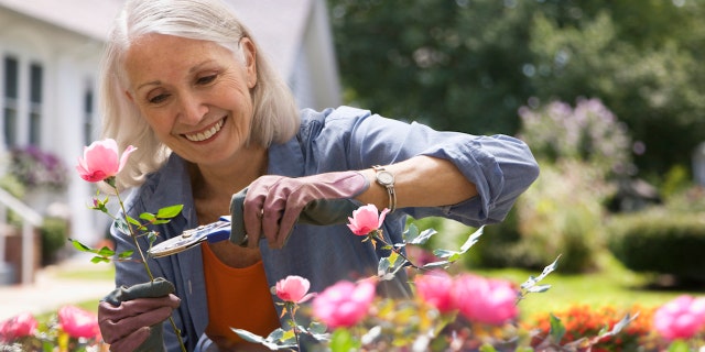 Older woman gardening