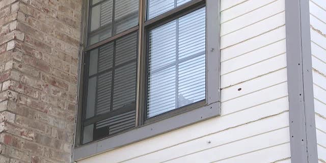 Dallas boy killed by stray bullet