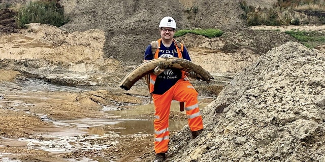 Mammoth tusk