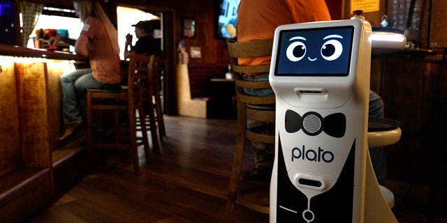 Plato pauses in bar of The Cazadero restaurant