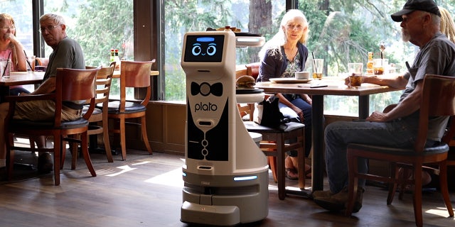 Robot serves diners lunch inside restaurant