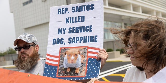 A Santos protester holds a sign that reads, 'Rep. Santos killed my service dog'