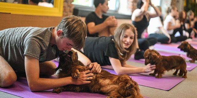 People at a puppy yoga class