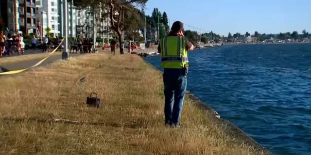 investigator at scene near Puget Sound