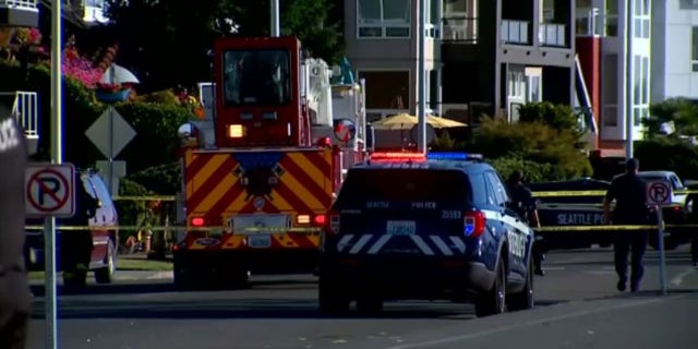 emergency vehicles on scene