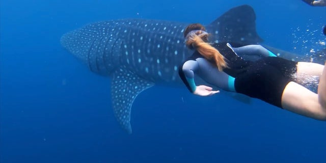 A homeschool family gets an education at sea