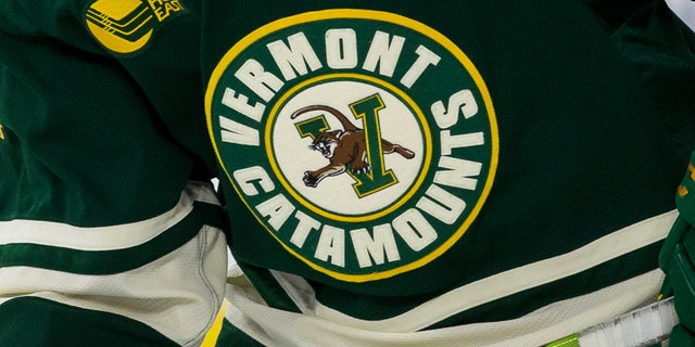 Vermont hockey logo