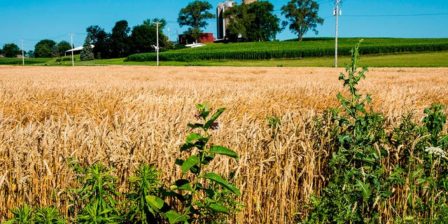 farmland near Janesville, Wisconsin