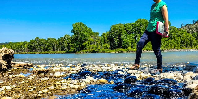 woman looking at river covered in asphalt