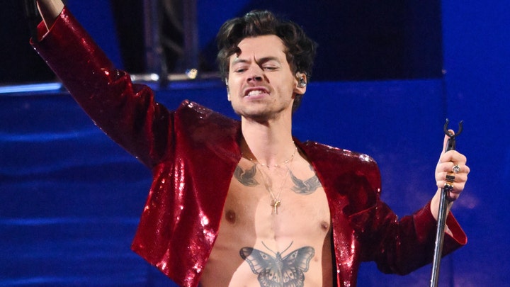 Harry Styles hit in the face while performing