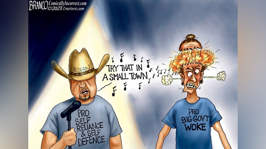 Pro liberal cartoons