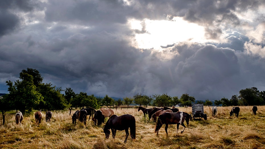 Powerful summer storm tears through Netherlands, parts of Germany, killing at least 2 people