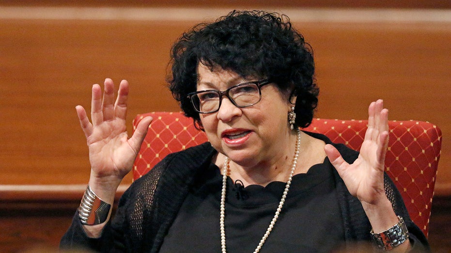  iPhone XR Wise Latina Sonia Sotomayor Supreme Court Case : Cell  Phones & Accessories
