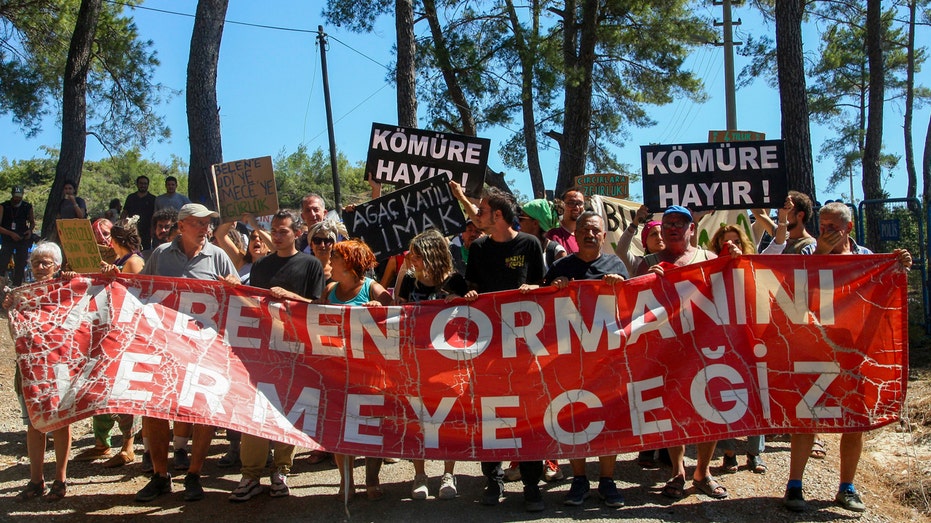 Environmental campaigners vow to persist as tree-felling for coal-mining in Turkish woodlands concludes