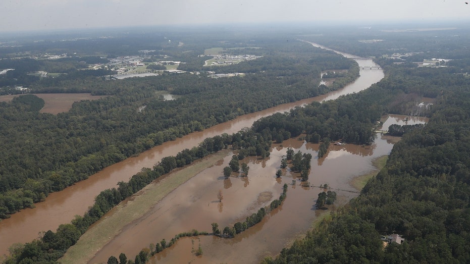 North Carolina health officials put eating limits on fish due to contamination from ‘forever chemicals’