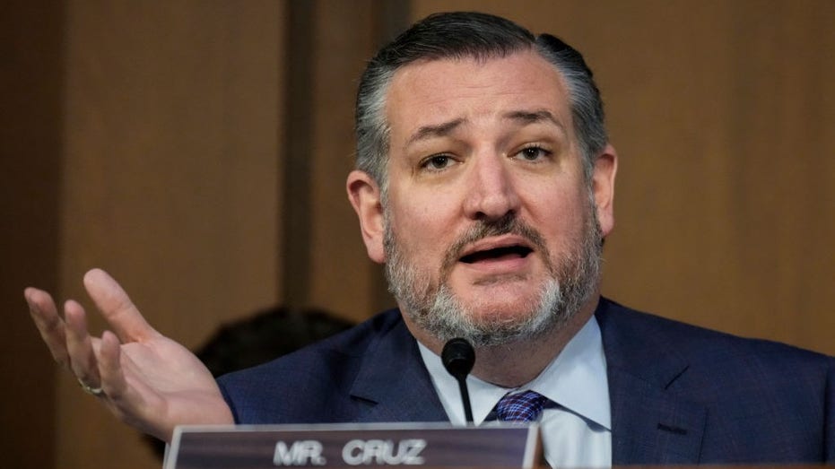 Cruz shoots down Schumer effort to regulate AI: ‘More harm than good’